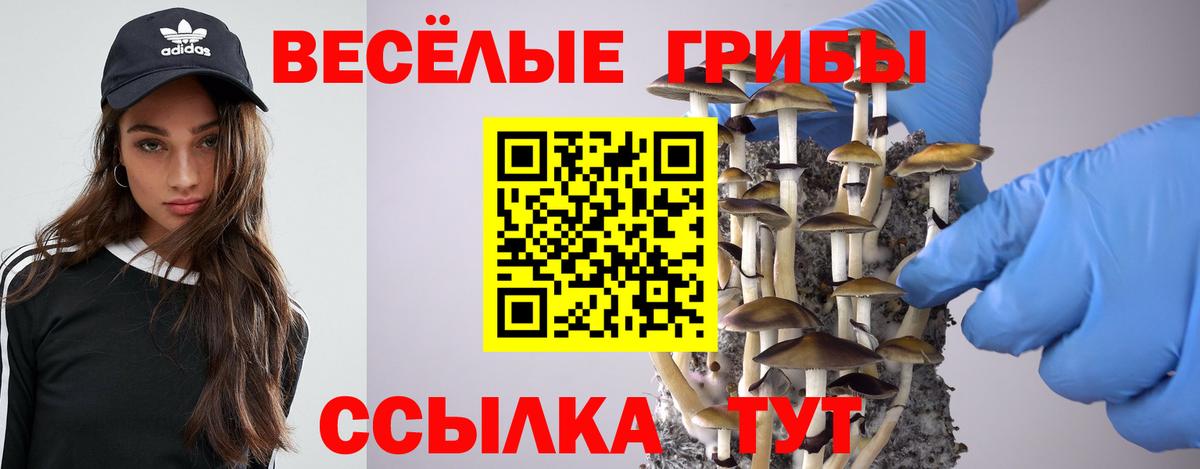 Псилоцибиновые грибы Magic Shrooms  Псилоцибиновые грибы Psilocybe  Курск  Вход с VPN 